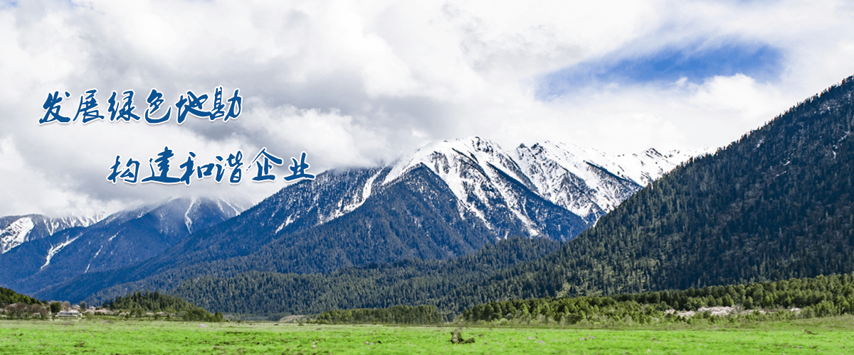 煙臺(tái)恒鑫化工愿景與使命